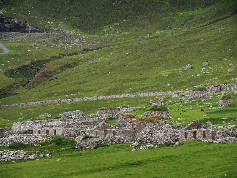 Hillside above St Kilda Village