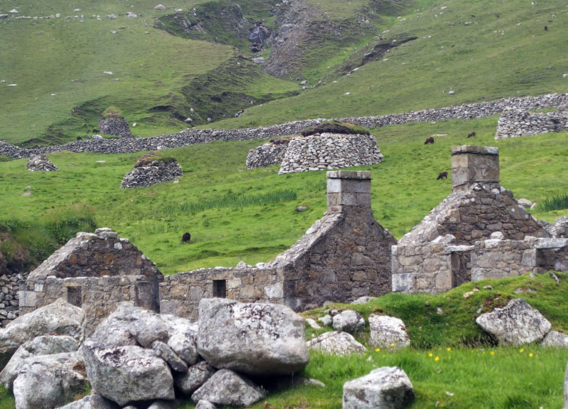 Ruins of the 19th Century houses