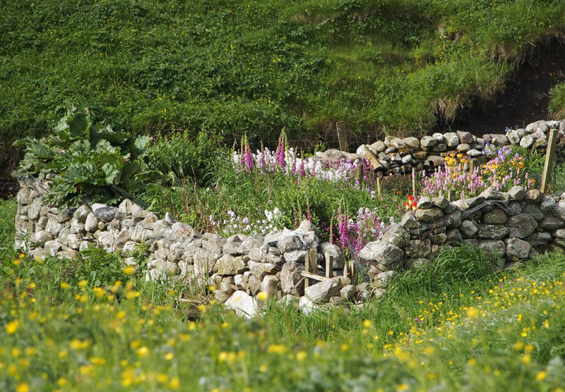 1913: Somebodys walled garden