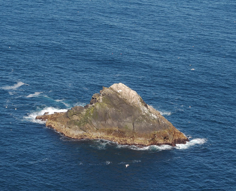 z6222123.jpg