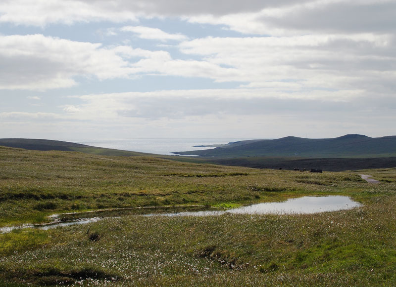 z6222128.jpg