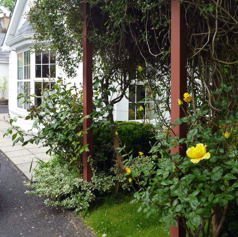 At our Clonmel B&B