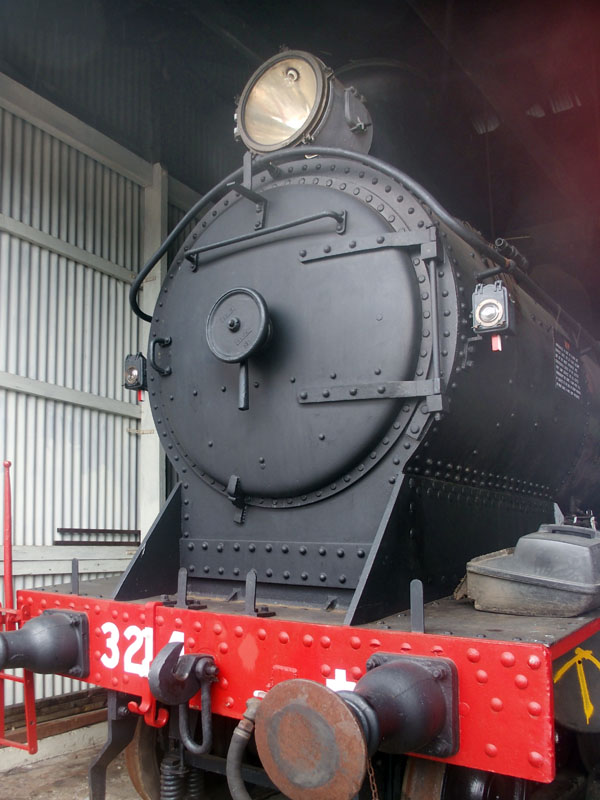 Big brute