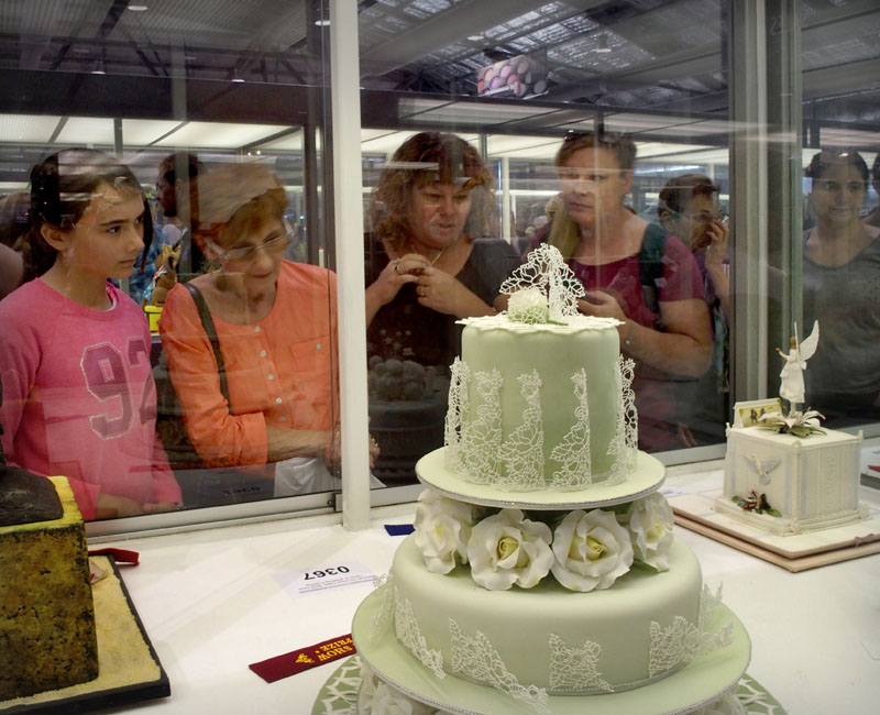 The cakewatchers