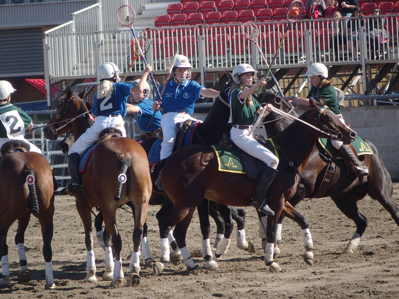 Polo - 4