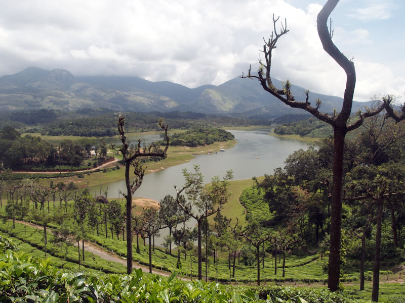 5494: Anayirankal Dam