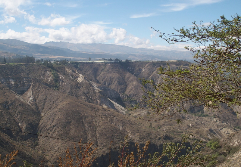 View from the Mirador del Rio Pisque  5
