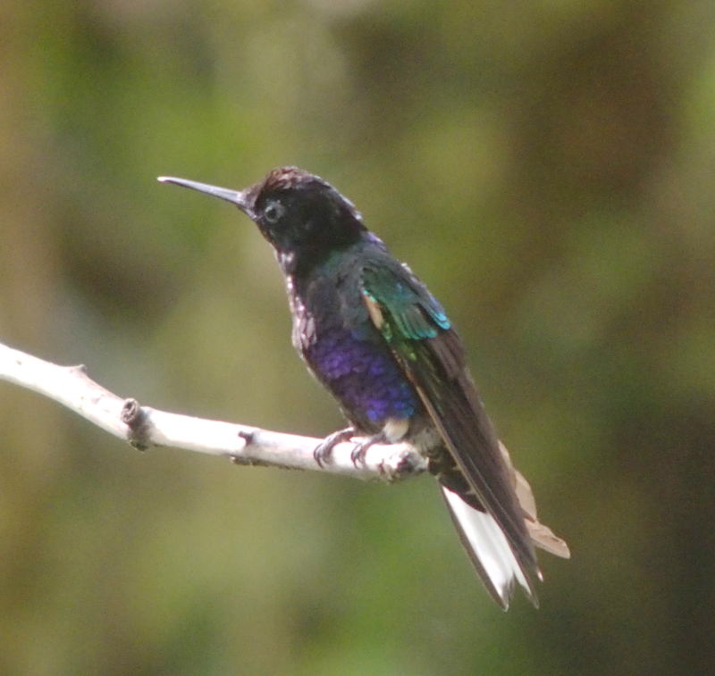 z9271313.JPG