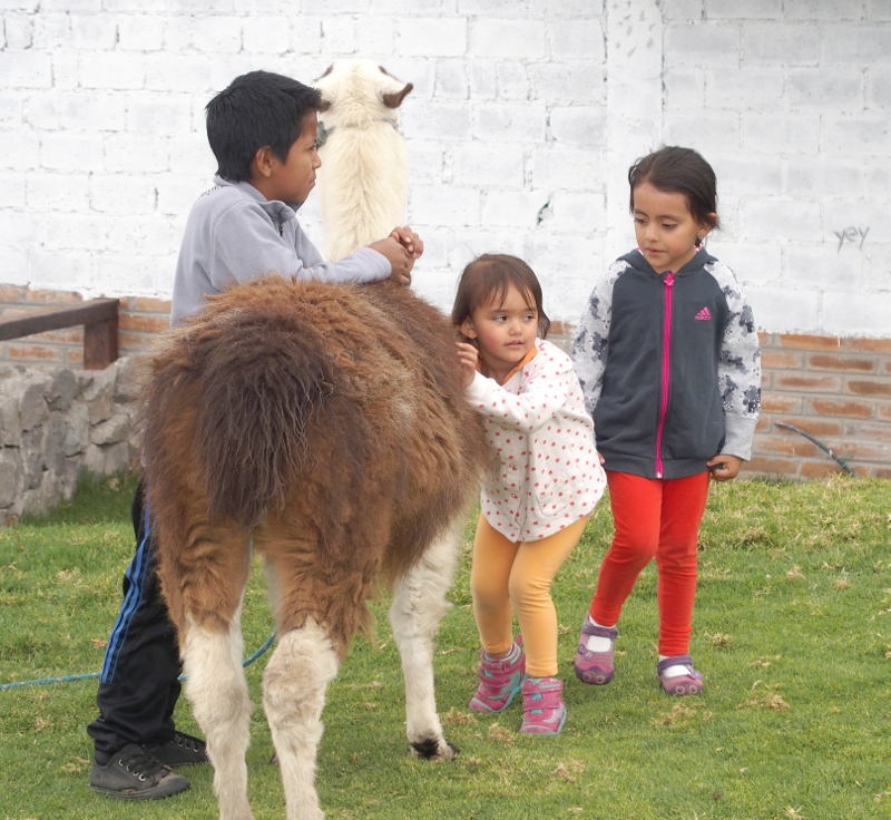 Children with llama
