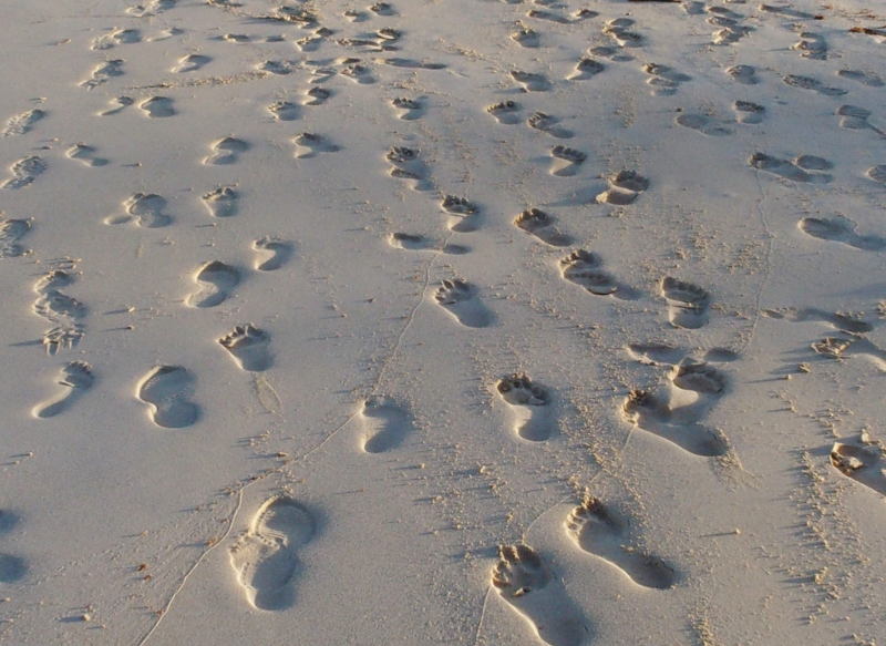 0834: This is where we took off our shoes