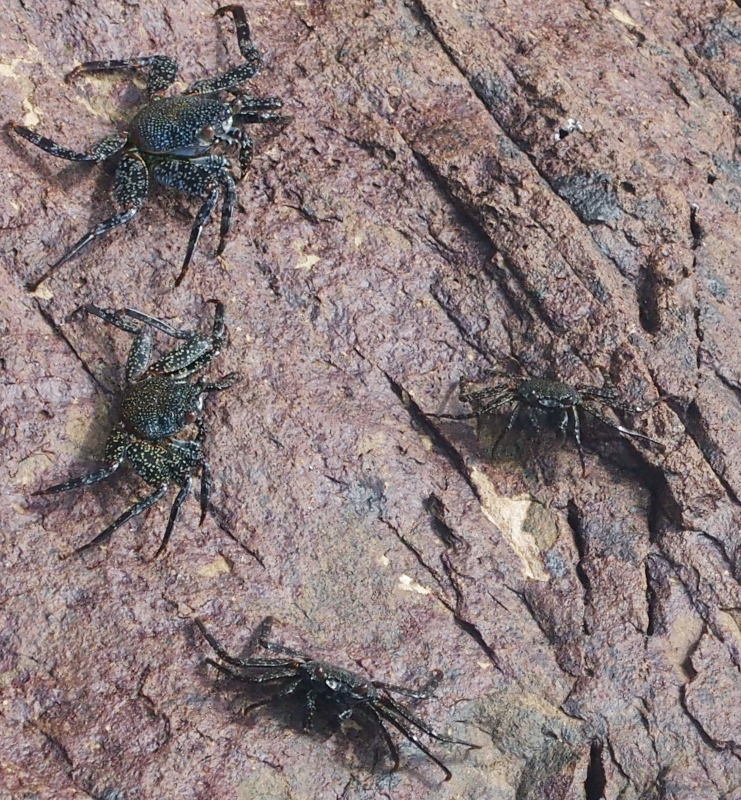 zA111161.JPG