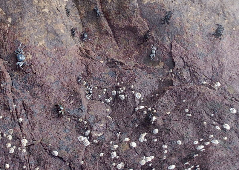 zA111160.JPG