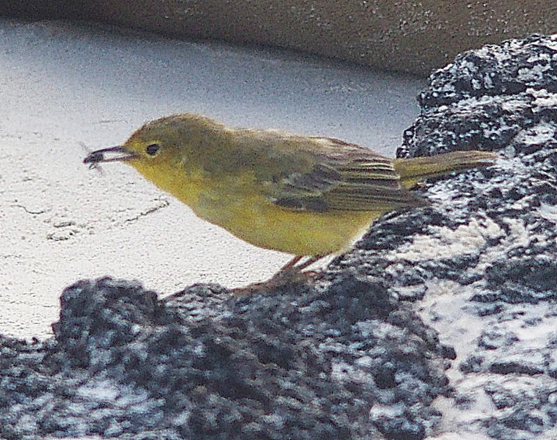 zA111285.JPG