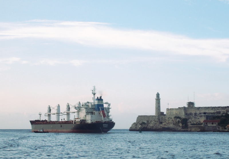 zA151463.JPG