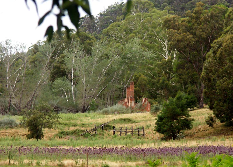 Joadja ruins