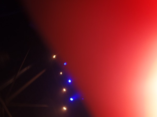 P8230259.jpg