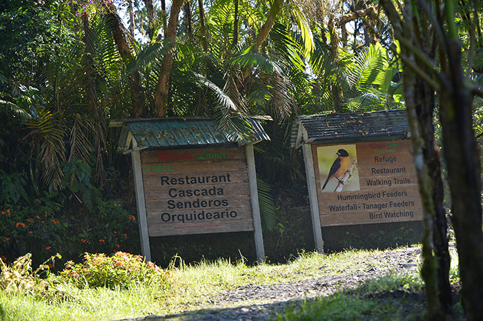 Mindo Loma.Ecuador