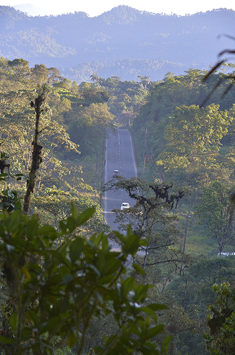 On the way back.Mindo
