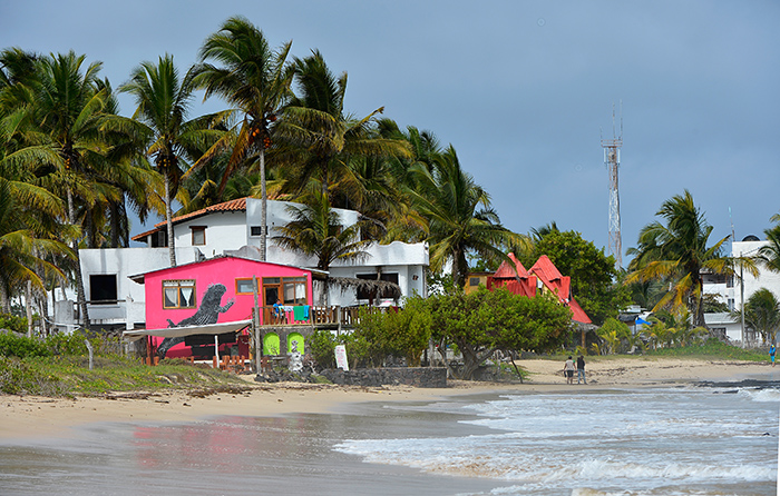 Puerto Villamil.Isabela