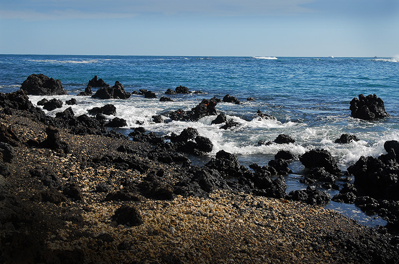 Las Tintoreras.Islabela island