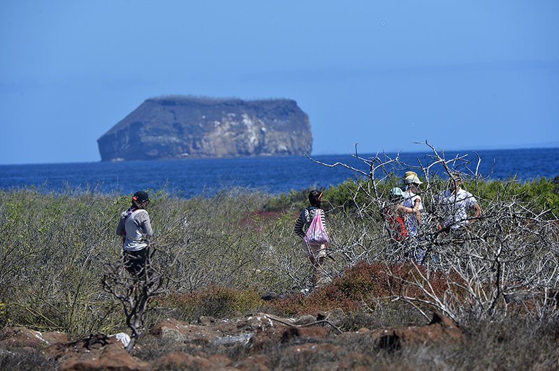 North Seymour island