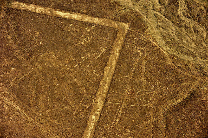 Bellena - Whale.Nazca lines