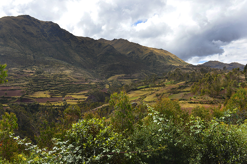 near Peaje Huillque,Altitude 3610 m