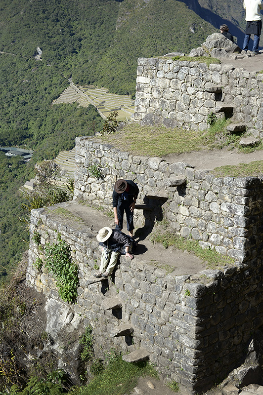 only way to climb up and down to the top