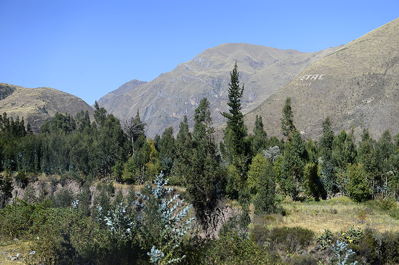 Scenery between Uros and Cusipata