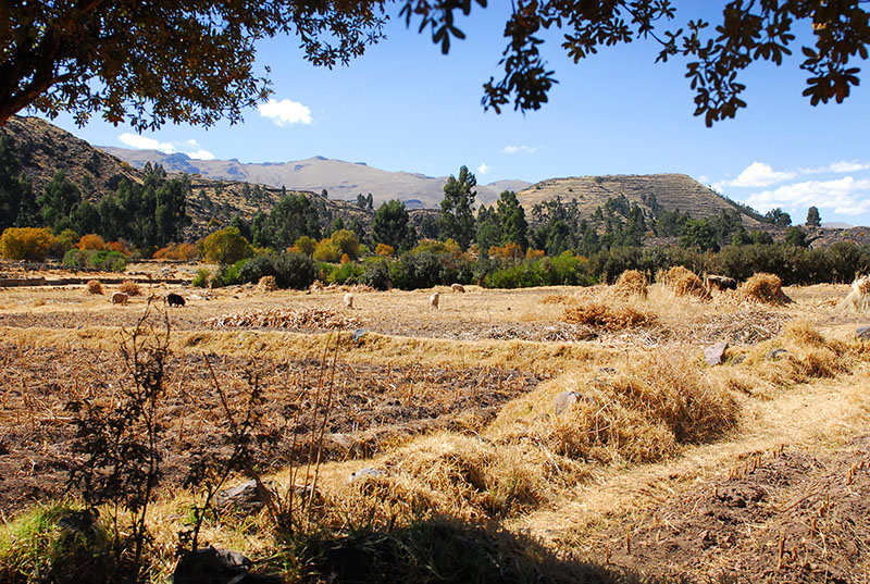 Raqchi.Peru