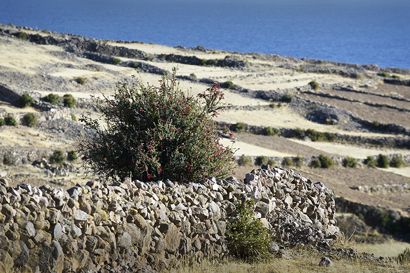 Amantani island