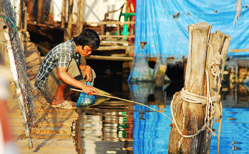 Ph Quốc Việt Nam