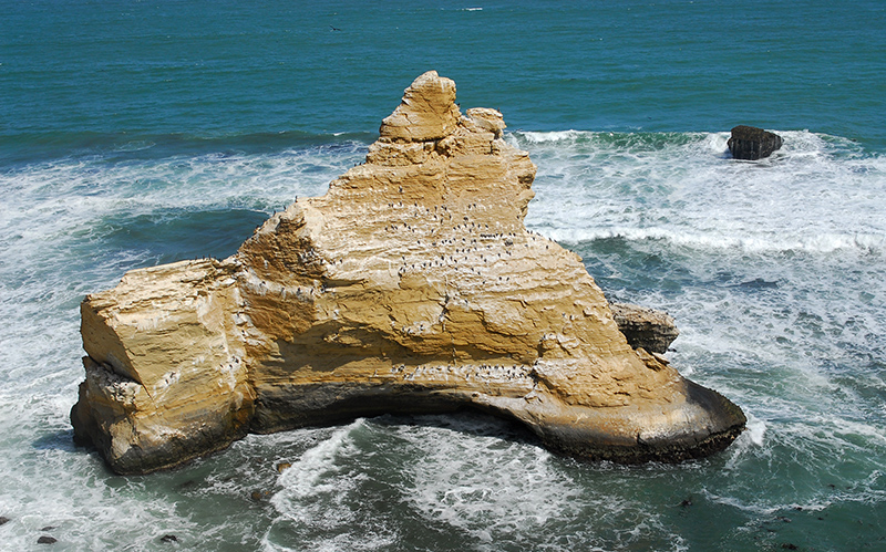 Reserva Nacional de Paracas