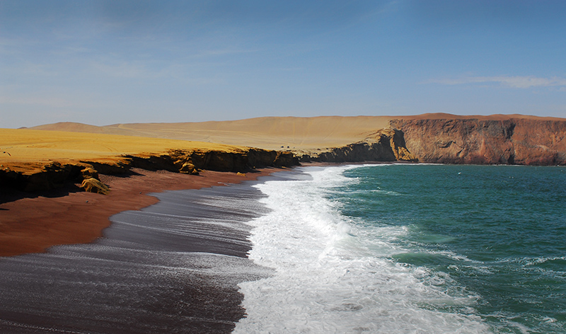 Reserva Nacional de Paracas