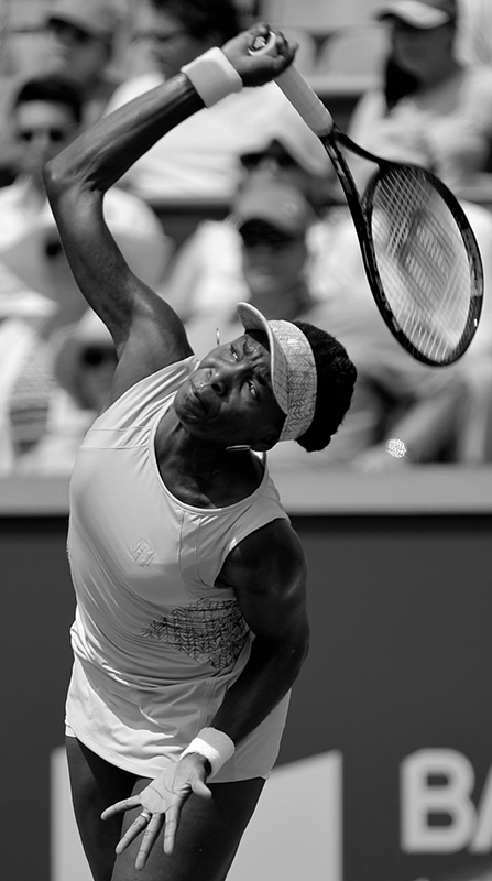 Venus WILLIAMS