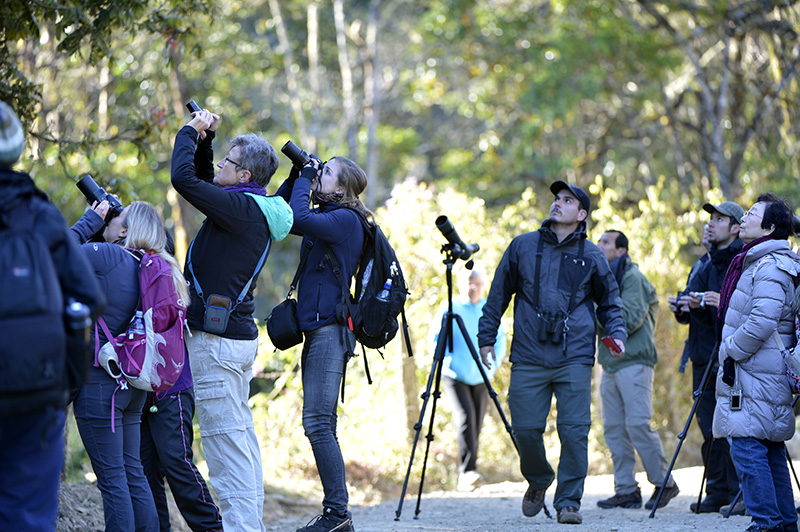 Birdwatchers at San Gerardo de Dota