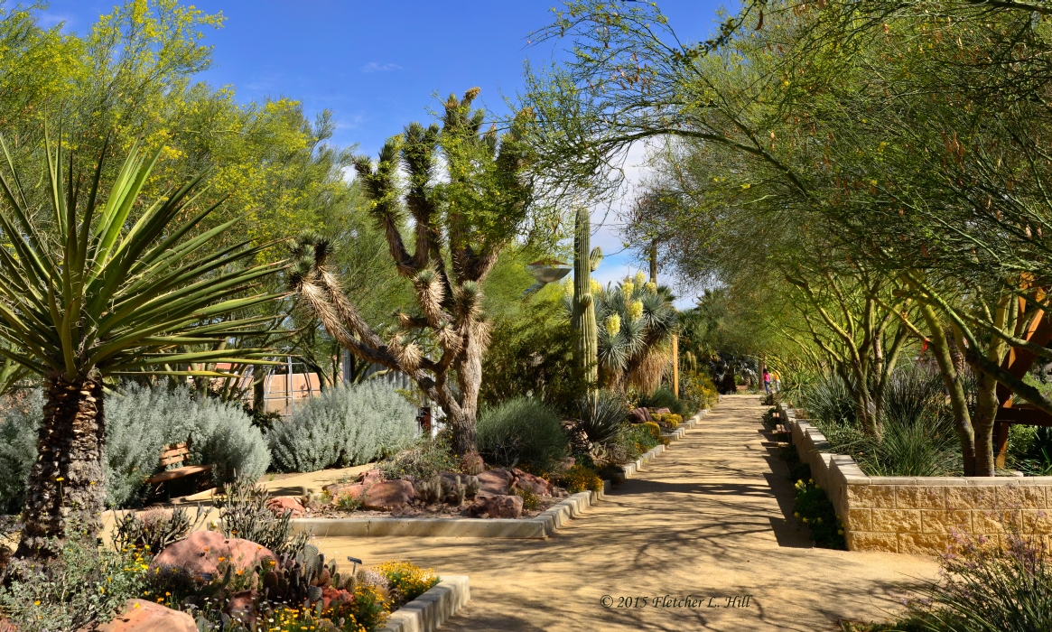 Mojave Garden at Springs Preserve, Las Vegas