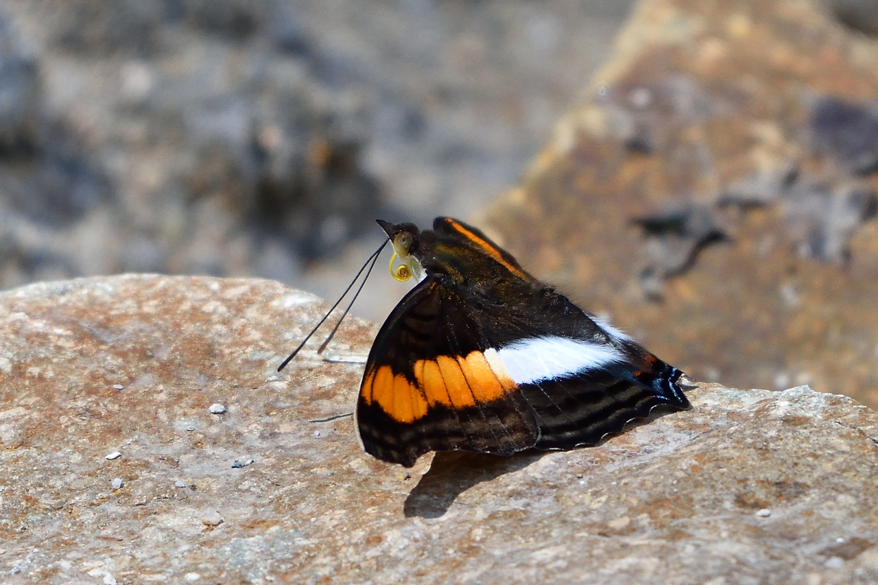 282DSC_2273.JPG