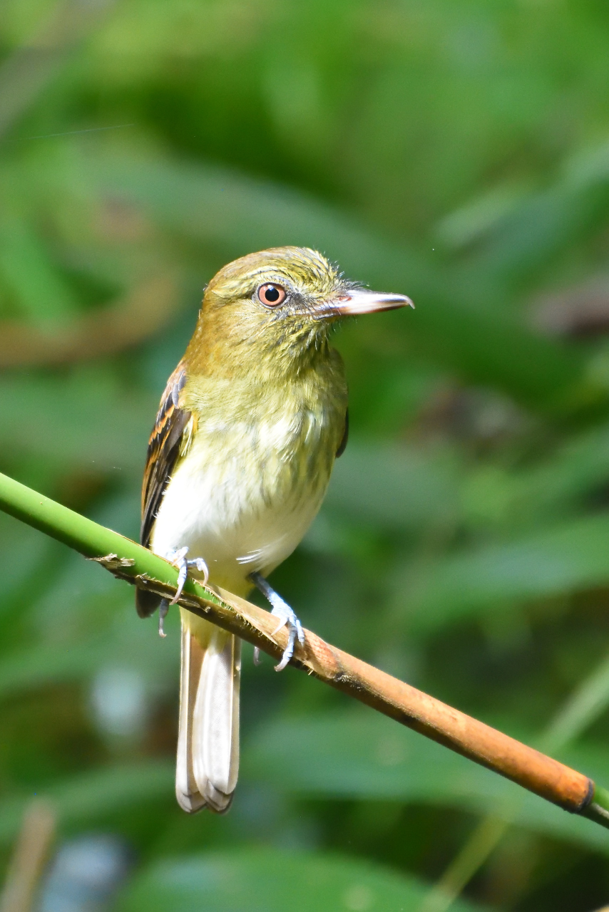 DSC_7637.JPG