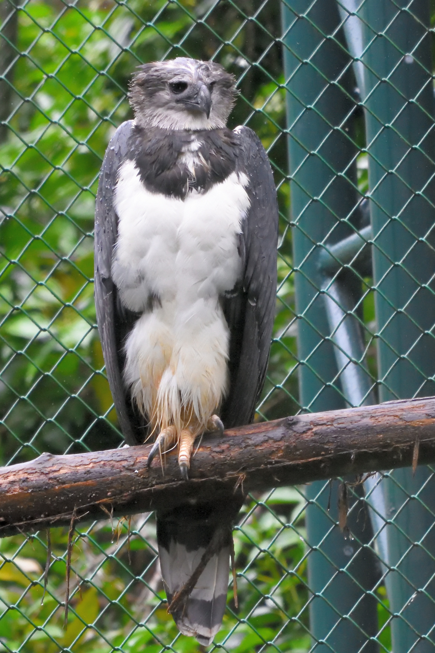 DSC_8266.JPG