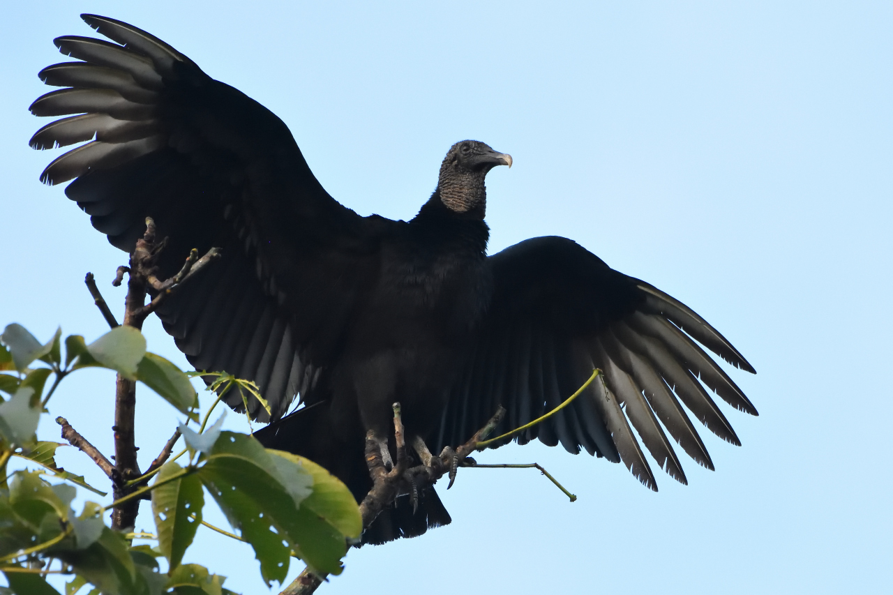 DSC_8448.JPG