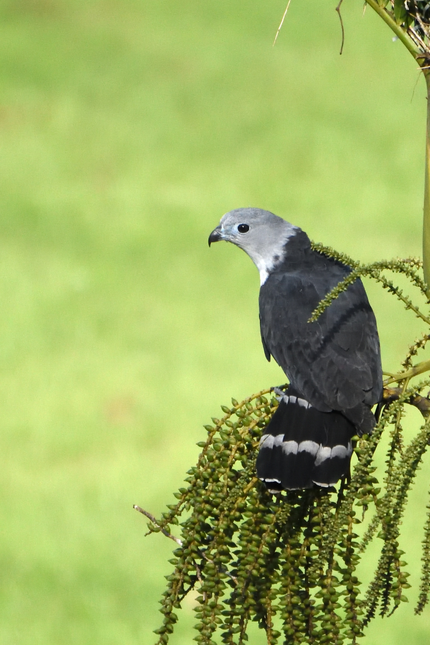 DSC_8762.JPG