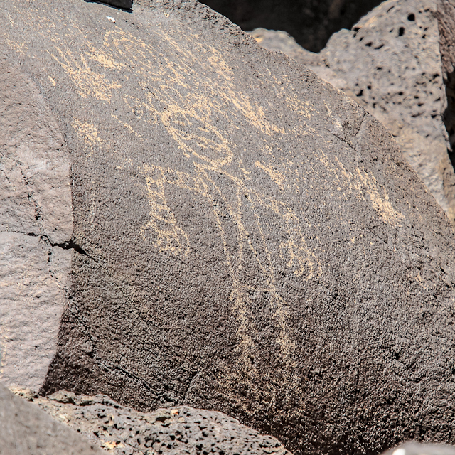 Multiple figures in Piedras Marcadas Canyon in Petroglyph National Monument