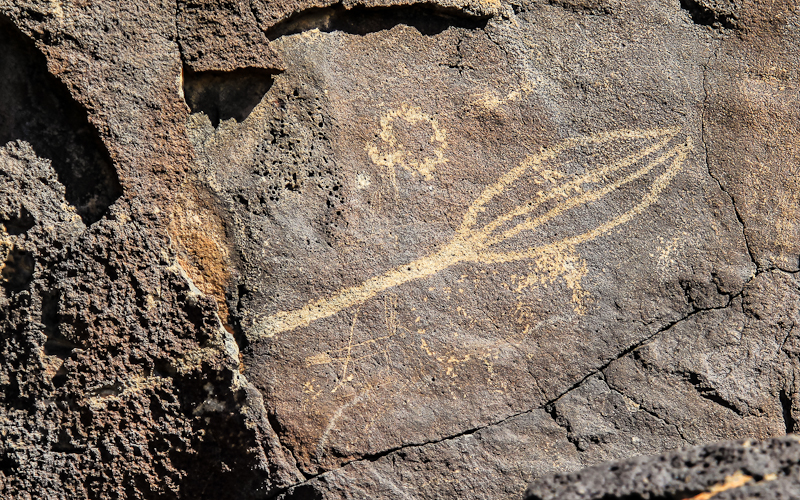 Puebloans Yucca Pod image in the Rio Grande Style in Boca Negra Canyon in Petroglyph National Monument