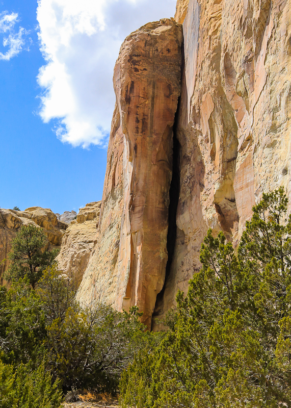 The mesa walls from the Inscription Rock Trail in El Morro National Monument