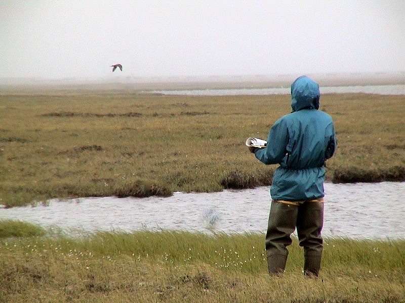 Brooks Range and North Slope, Alaska