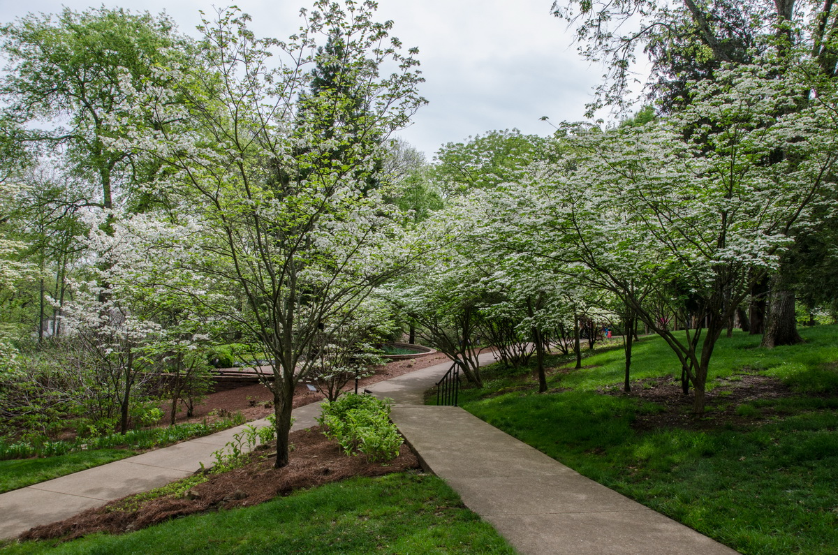 Cheekwood Botanical Garden _02.jpg