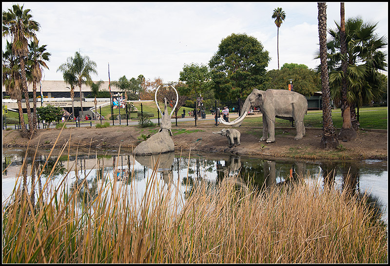Tar Pit IV