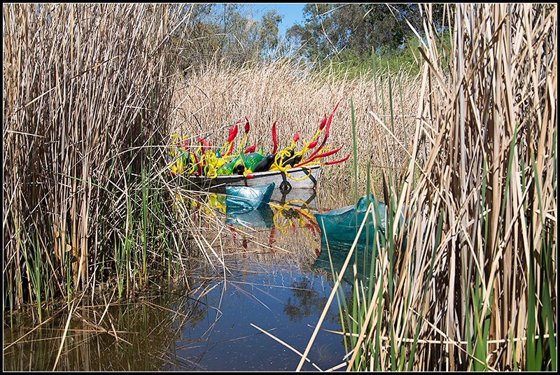 Sonoran Boat I
