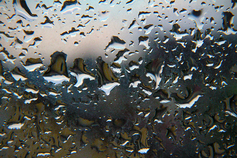 Rainy day